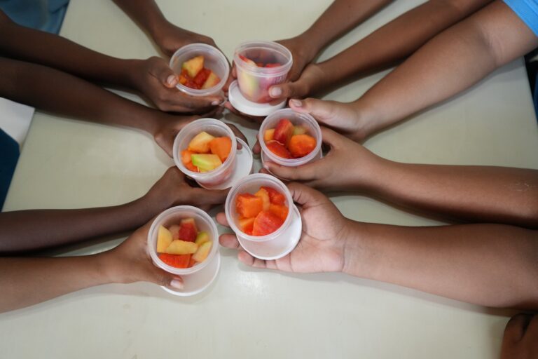 FRUTAS PAE