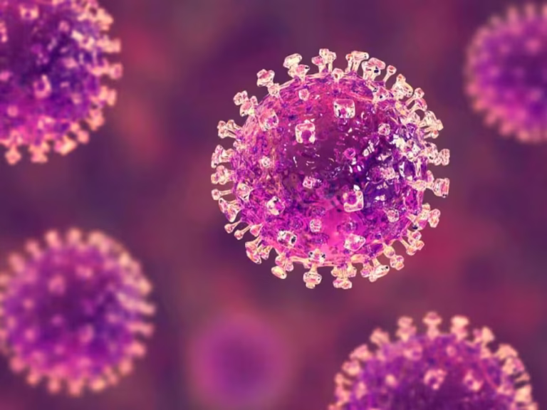 virus en india